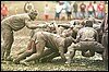 mud scrum1.JPG